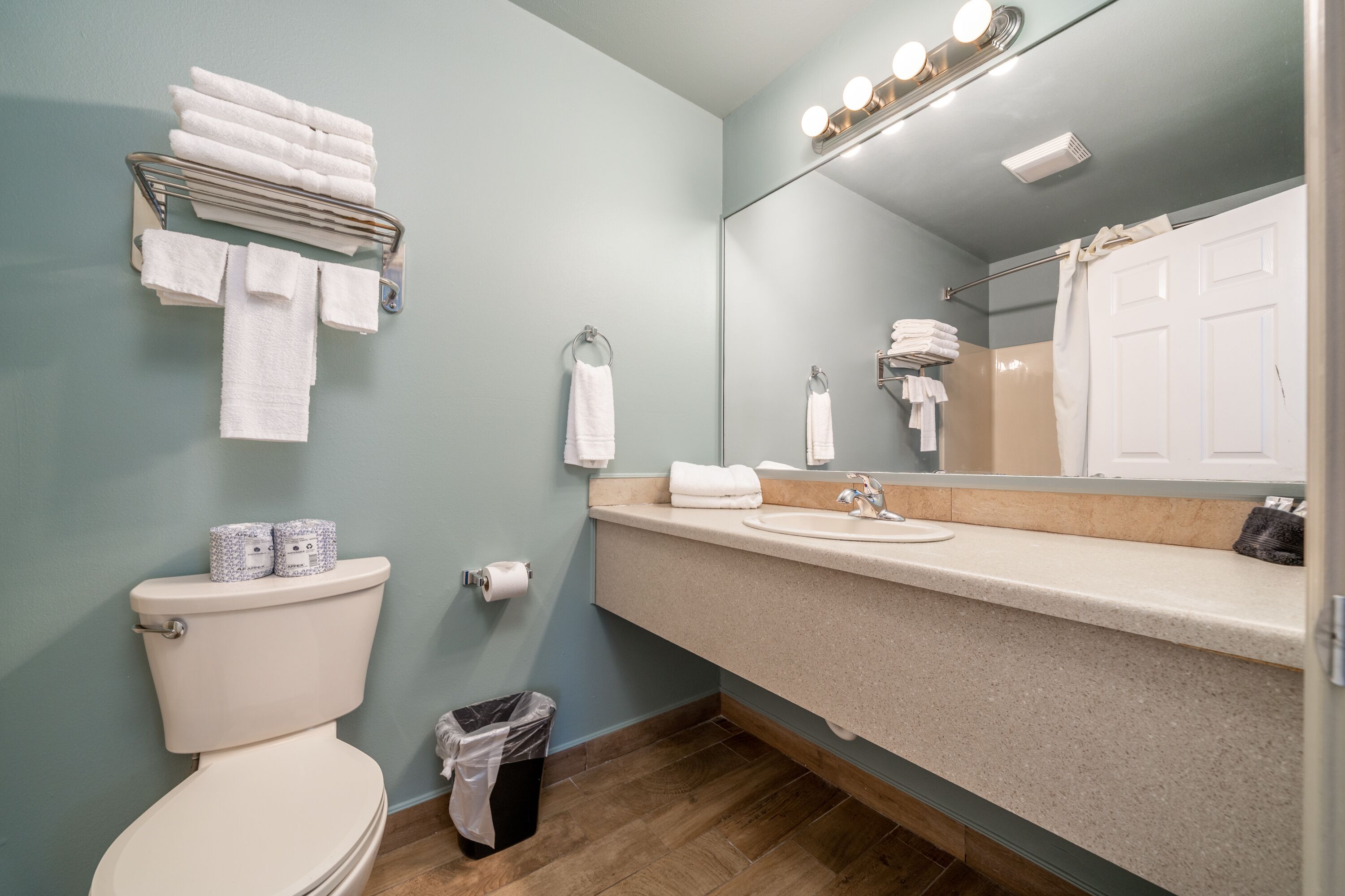 A bathroom with a toilet, sink, mirror, towel rack, and a trash bin.