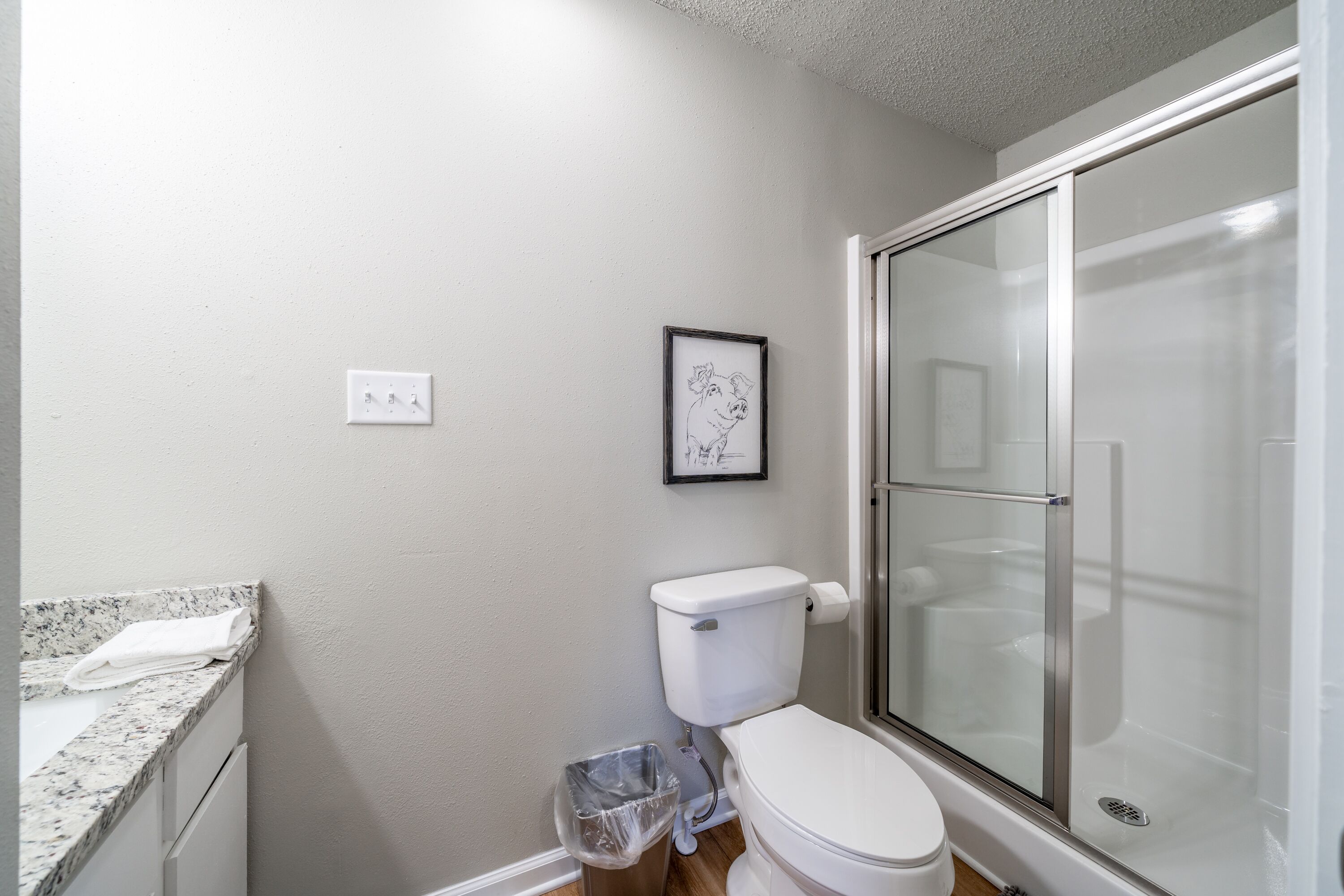 A bathroom with a toilet, a framed picture on the wall, a shower with a glass door, and a trash can.