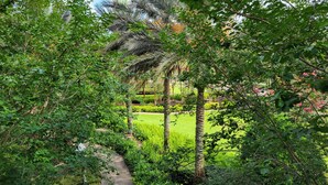 Ein üppiger Garten mit einem Weg, der zu einer Palme und einem gepflegten Rasen führt.