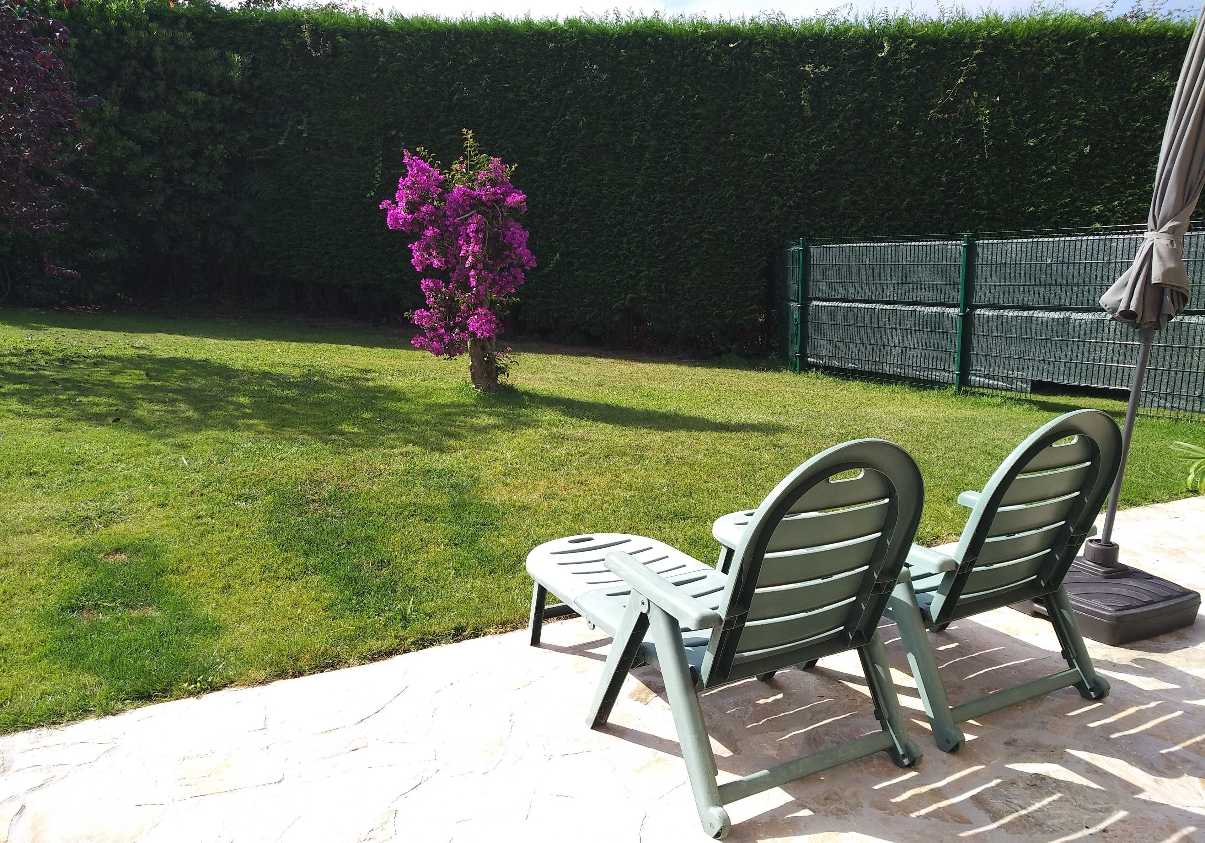 Un patio al aire libre con una mesa y sillas de metal, un seto y un pequeño árbol con flores rosadas.