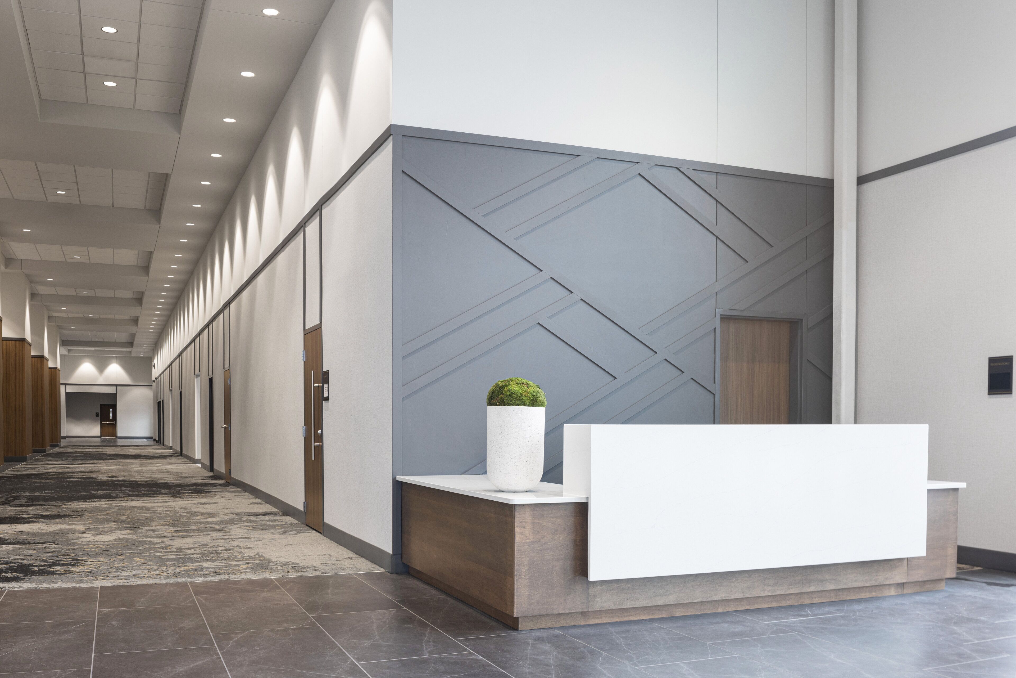 A modern reception area with a reception desk, a potted plant, and a corridor with doors and a patterned wall.
