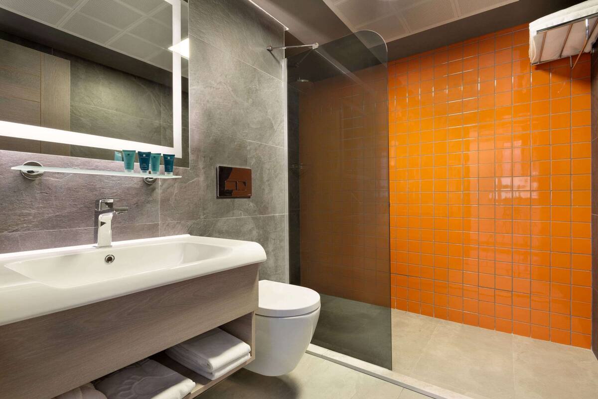 combined shower/bathtub, free toiletries, hair dryer, bathrobes