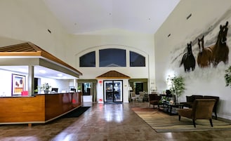Recepción