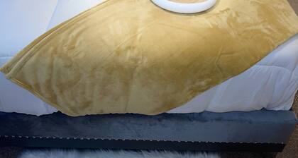 🌟STYLISH🌟COZY 1BR/1BA IN THE 🔥ATL/DUNWOODY AREA🌟