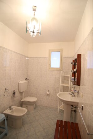 Shower, hair dryer, bidet, towels