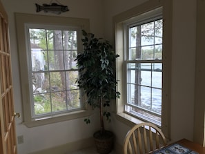 Une pièce avec deux fenêtres, une plante en pot, une chaise en bois et un projecteur fixé au mur.