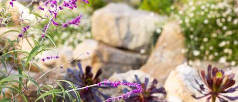 Un jardín con diversas plantas y rocas.