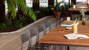 A long wooden table with black metal chairs, surrounded by potted plants and ferns, in a bright, open space with a view of the sky. - Hyatt Centric Cambridge (Cambridge)