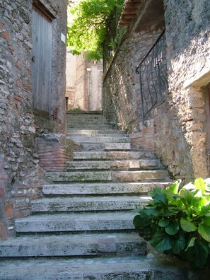 Property grounds - Amazing Lake View (Castel di Tora)