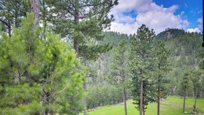 A forested area with a grassy field and a road. - Keystone Escape w/ Amazing Mt Rushmore View! (Keystone)