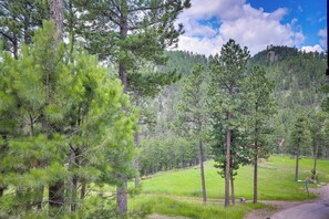 Property grounds - Keystone Escape w/ Amazing Mt Rushmore View! (Keystone)