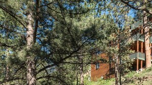 Un área de estar al aire libre con una chimenea, rodeada de árboles y un edificio al fondo.