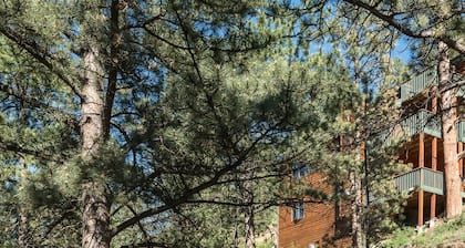 Family Gathering Home! Beautiful, Spacious, Clean! Next to Rocky Mtn N.P., YMCA