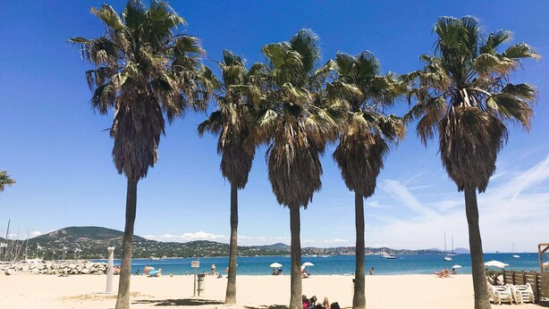 A beach with palm trees, a sandy shore, and a clear blue sky. - Mazet for 6 people in a domain with pool and tennis court in Cogolin (COGOLIN)