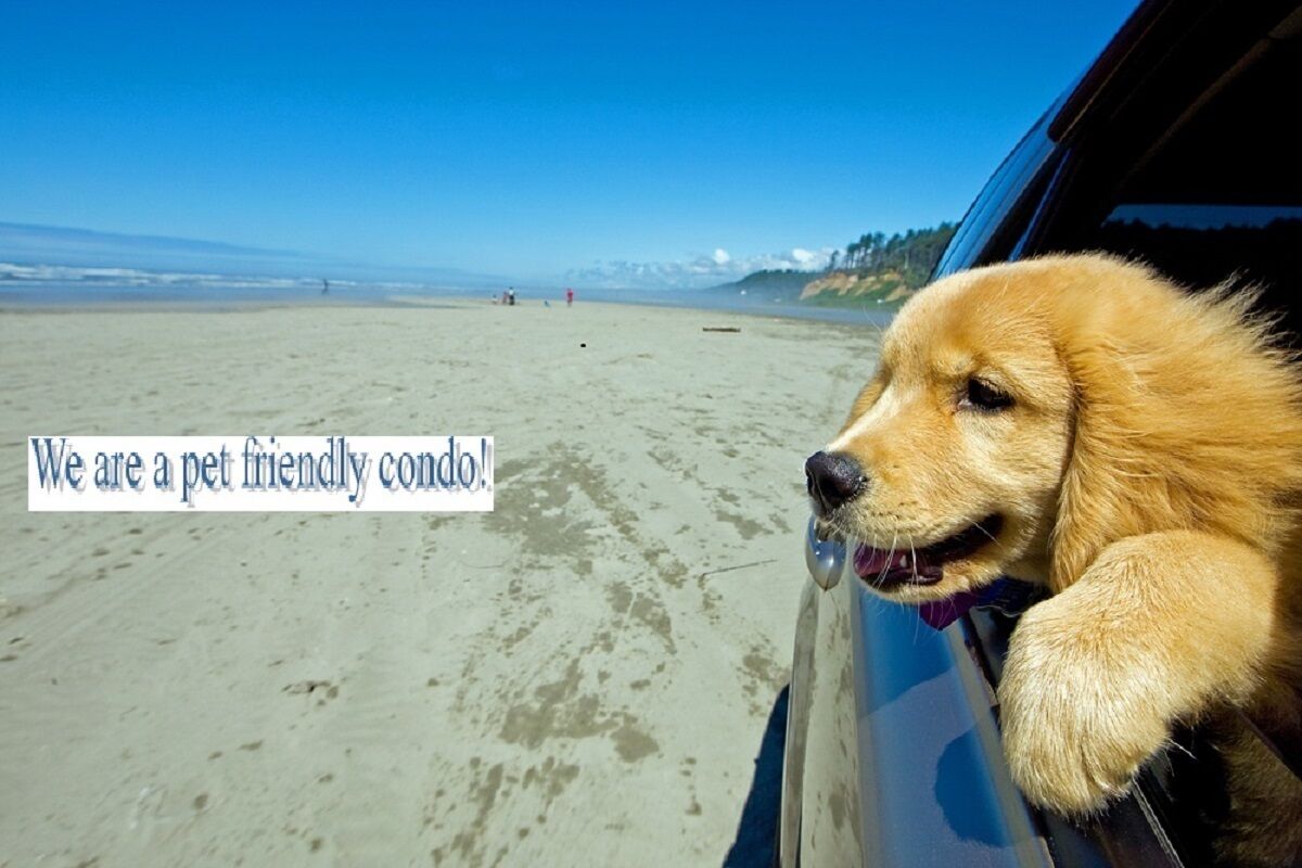 Playa en los alrededores, camastros y toallas de playa 