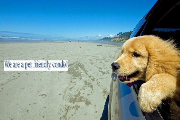 Beach nearby, sun-loungers, beach towels