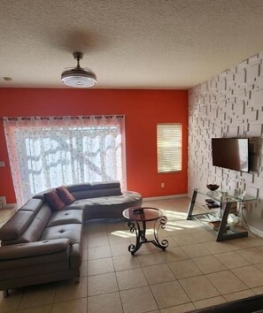 Älytelevisio, kirjoja