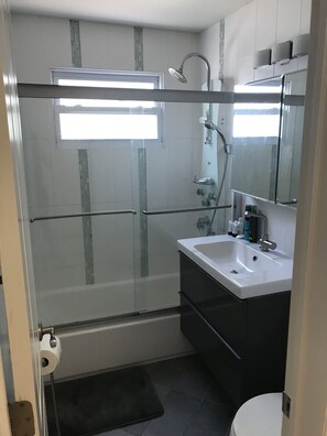 Shower, hair dryer, towels