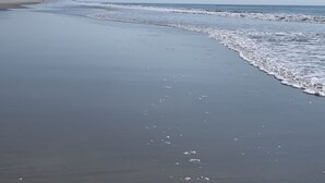 A beach with a sandy shore and gentle waves.