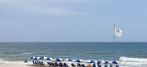 Une plage bordée de rangées de parasols bleus et blancs et de chaises longues, tous orientés vers l’océan.