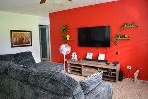 Smart-TV, Bücher, Musikbibliothek, Stereoanlage