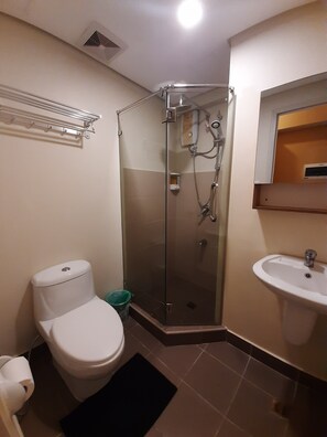 Shower, hair dryer, bidet, towels