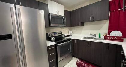 Elevated Experience at the Bromptons