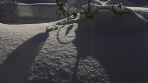 Uklassifisert bilde, 2 av 14, knapp