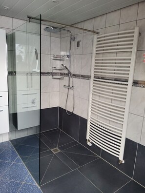 Dusche, Haartrockner, Handtücher, Seife