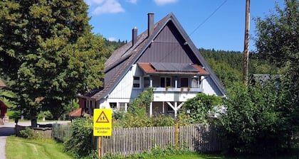 Treasure island in the Black Forest