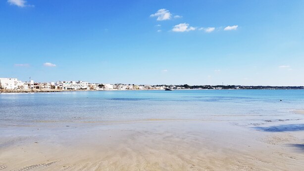 Ein Strand mit klarem Wasser, sandigem Ufer und einer Stadt im Hintergrund.