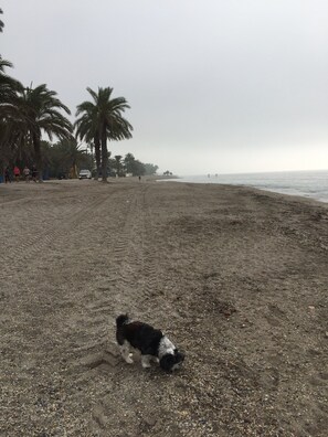 Playa en los alrededores 