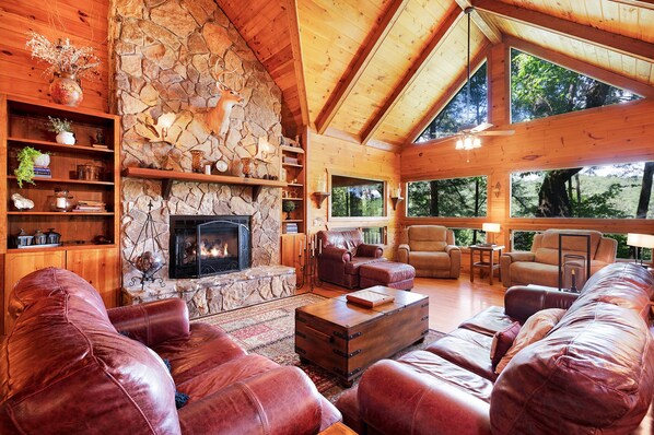 Televisión, chimenea y reproductor de DVD 