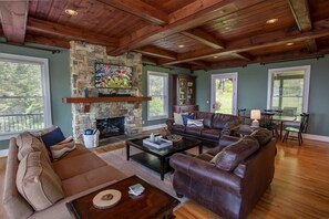 TV, fireplace, books