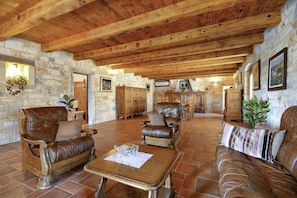 Villa | Living room - Villa Stancija Salamon (Svetvincenat)