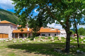 Villa | Áreas de la propiedad