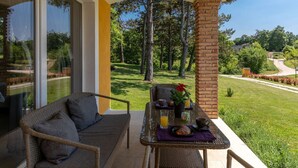 Unclassified image, 3 of 45, button - Villa Kristina (Pazin)