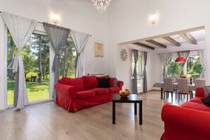 Villa | Living room - Villa Kristina (Pazin)