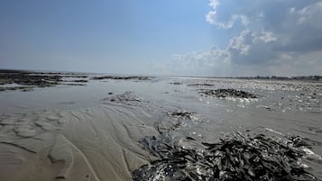Tæt på stranden