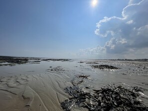Ubicación cercana a la playa