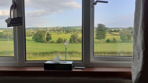 Ein Fenster mit Blick auf eine grüne Landschaft, einem Laternenpfahl und einer Taschentuchbox auf dem Fensterbrett.