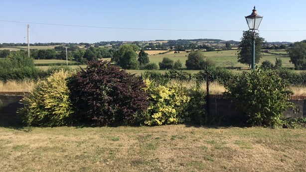 Ländliche Landschaft mit einem grünen Laternenpfahl und einer Hecke im Vordergrund.