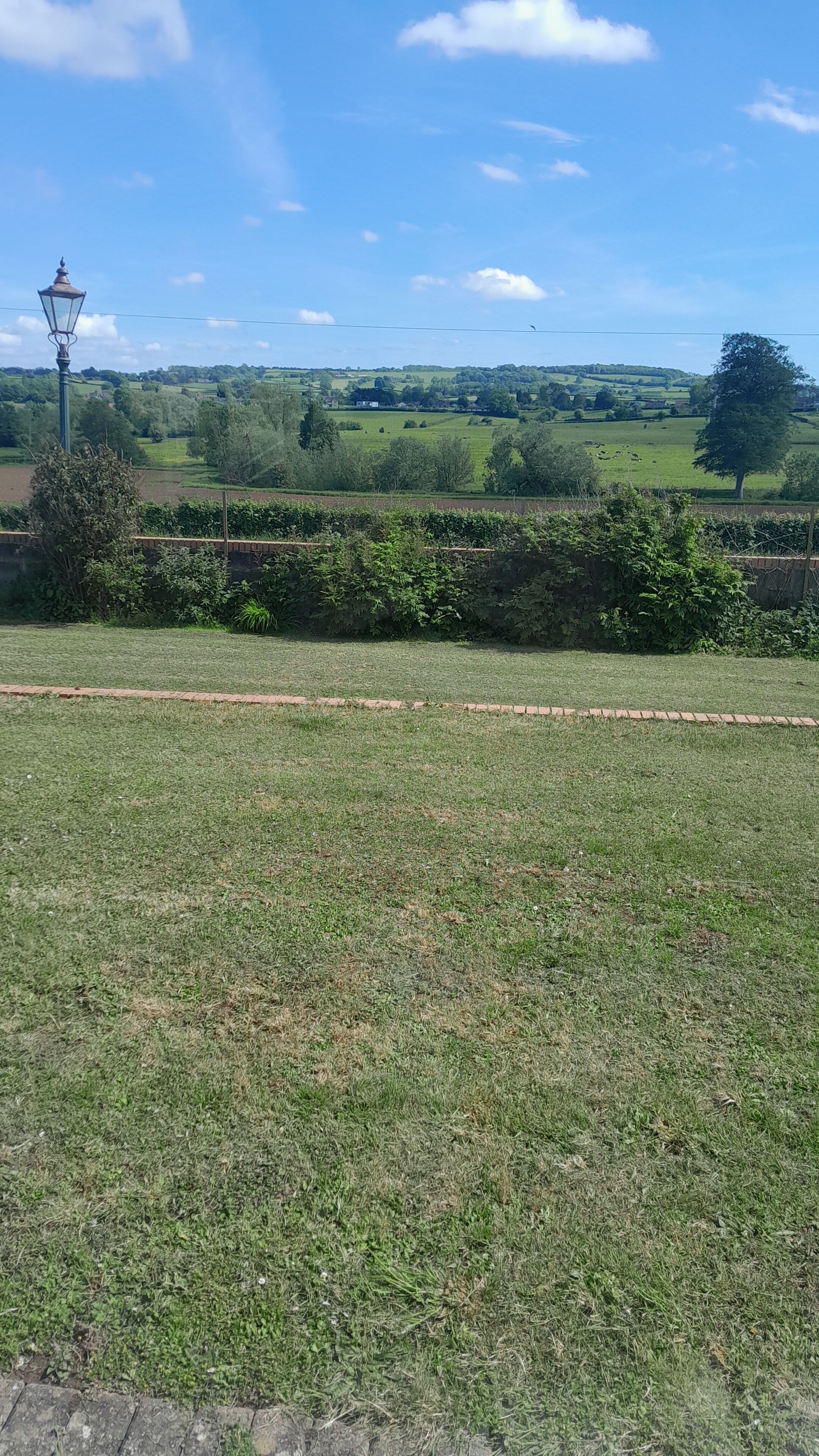 A grassy field with a lamp post and a hedge.