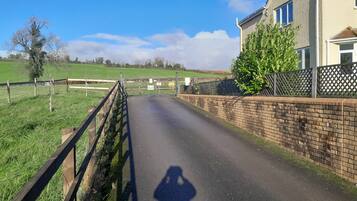 A rural road leading to a house with a brick wall and a wooden fence.