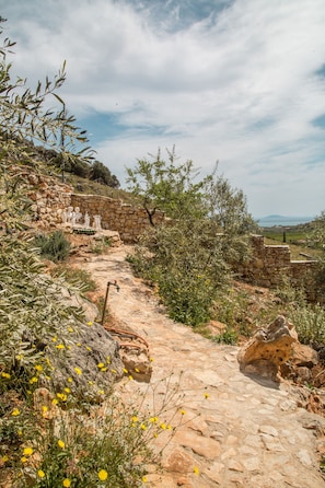 A stone pathway leading through a natural landscape with scattered yellow flowers and a stone wall with statues.