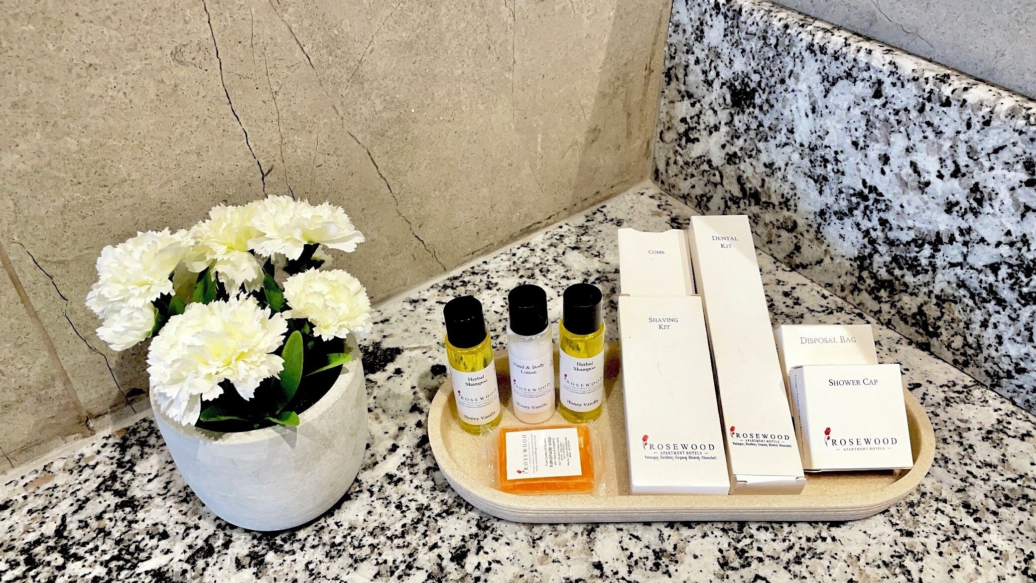 A bathroom counter with a potted plant, toiletries, and a shower cap.