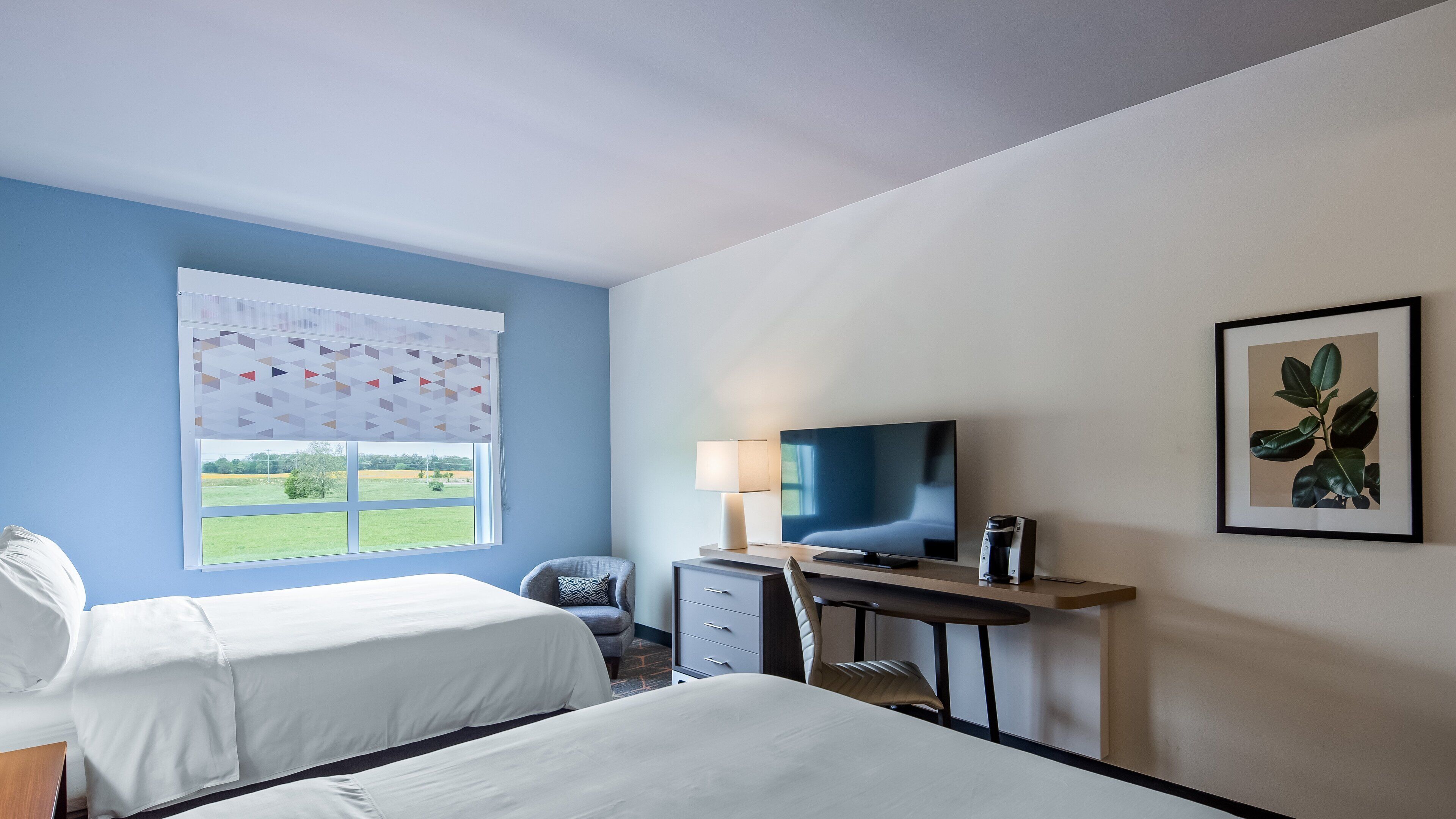 A hotel room with two beds, a desk with a TV, a lamp, and a framed plant.