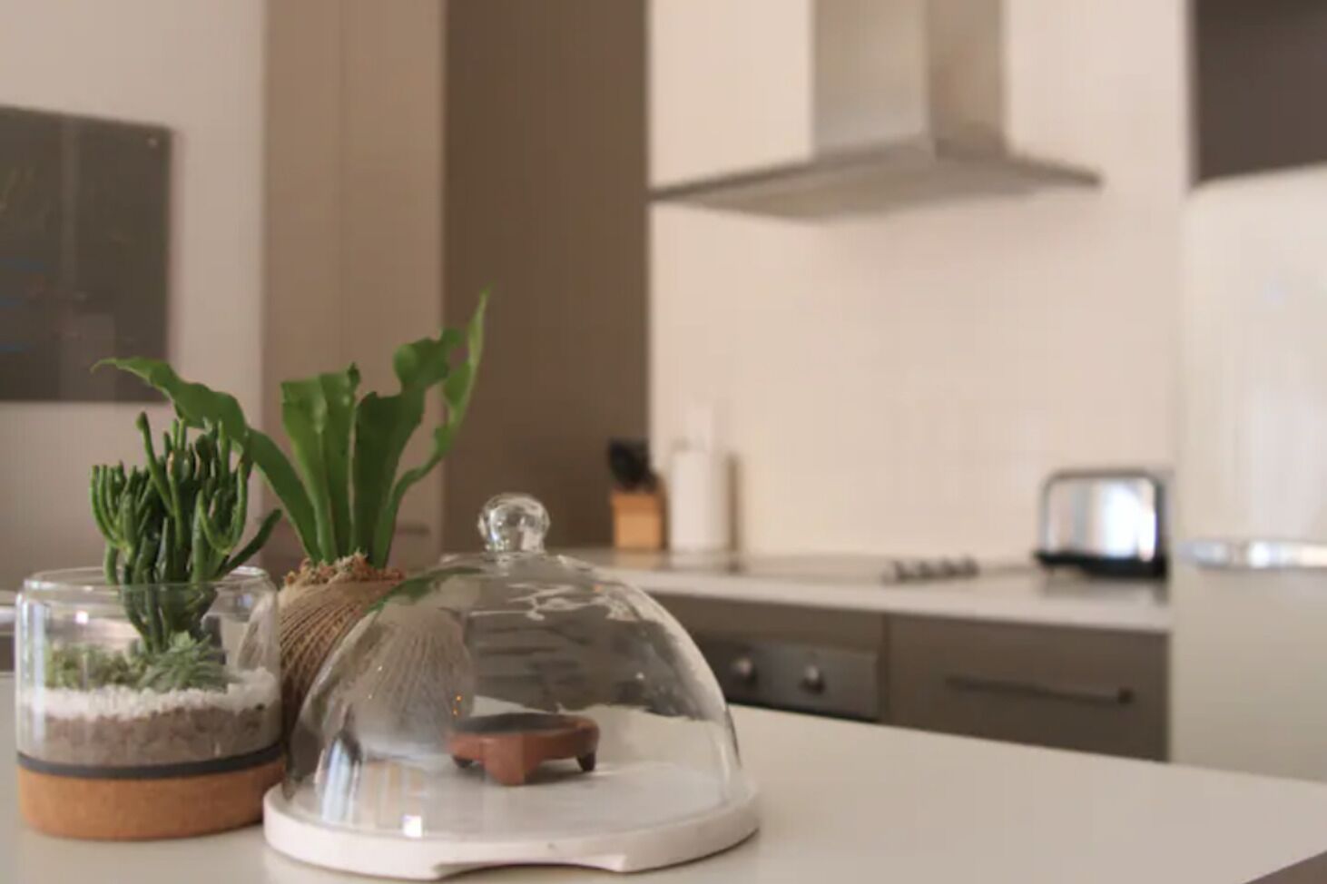 Comfortable, Spacious, Central Apartment & parking