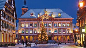 A historic building with a large Christmas tree in front, ornate facades, and a clock tower.
