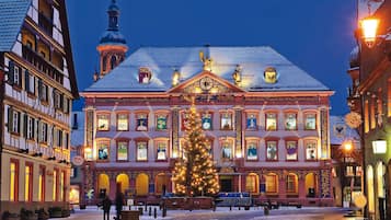 A historic building with a large Christmas tree in front, ornate facades, and a clock tower.